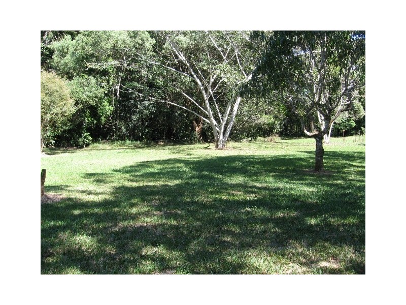 176 Euluma Creek Rd, Julatten QLD 4871