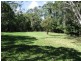 176 Euluma Creek Rd, Julatten QLD 4871