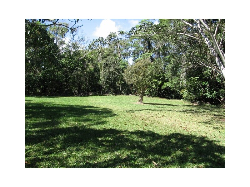 176 Euluma Creek Rd, Julatten QLD 4871