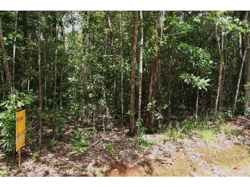 Lot 183 Silky Oak Road COW BAY, Daintree QLD 4873
