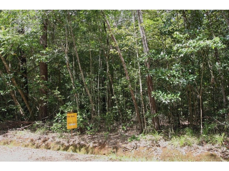 Lot 183 Silky Oak Road COW BAY, Daintree QLD 4873