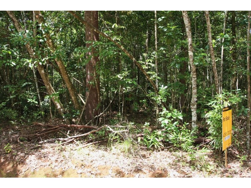 Lot 183 Silky Oak Road COW BAY, Daintree QLD 4873