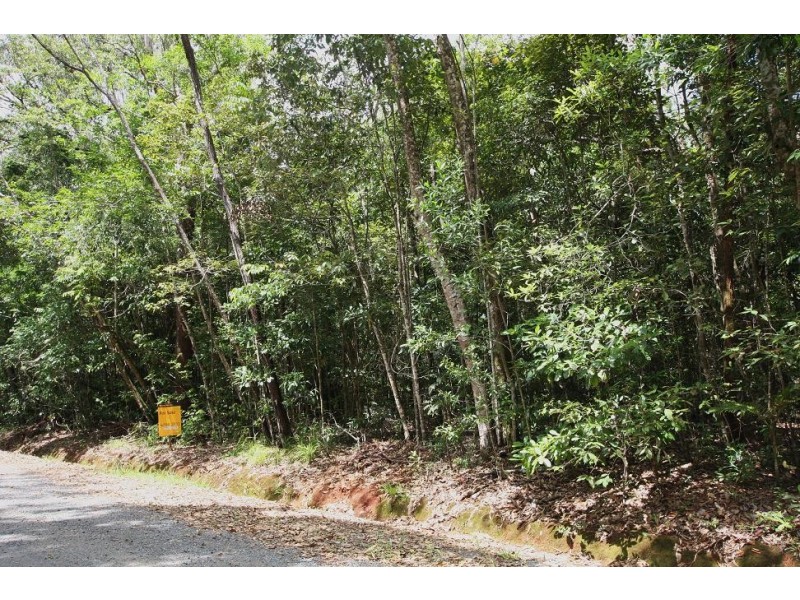 Lot 183 Silky Oak Road COW BAY, Daintree QLD 4873