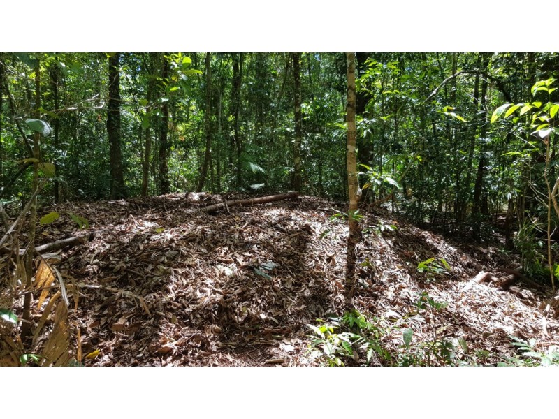 Lot 183 Silky Oak Road COW BAY, Daintree QLD 4873