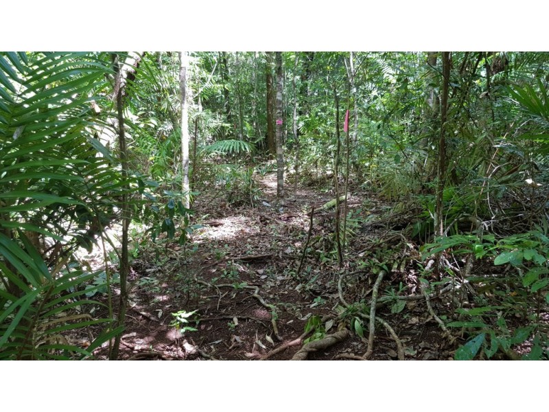 Lot 183 Silky Oak Road COW BAY, Daintree QLD 4873