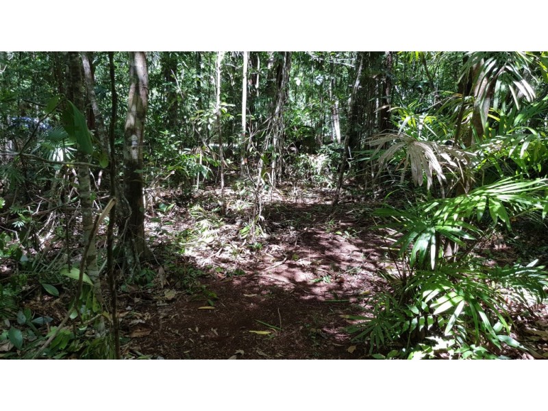 Lot 183 Silky Oak Road COW BAY, Daintree QLD 4873