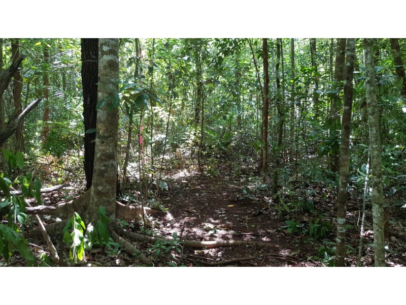 Lot 183 Silky Oak Road COW BAY, Daintree QLD 4873