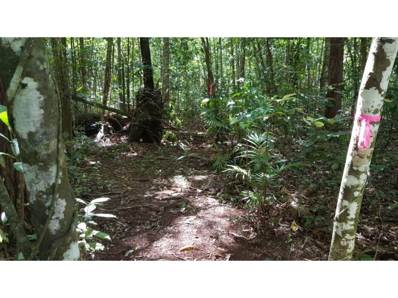 Lot 183 Silky Oak Road COW BAY, Daintree QLD 4873