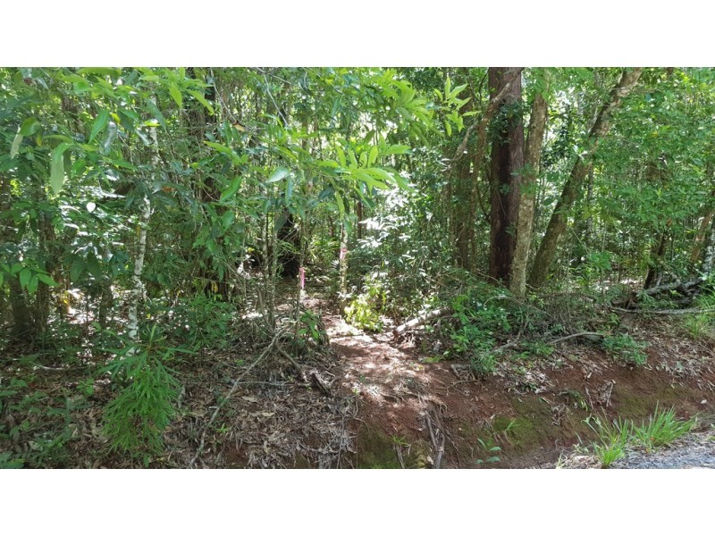 Lot 183 Silky Oak Road COW BAY, Daintree QLD 4873