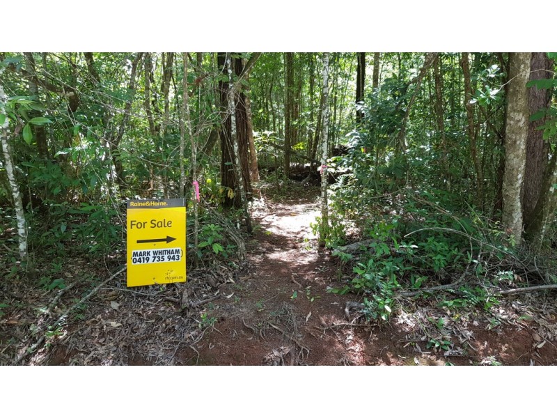 Lot 183 Silky Oak Road COW BAY, Daintree QLD 4873