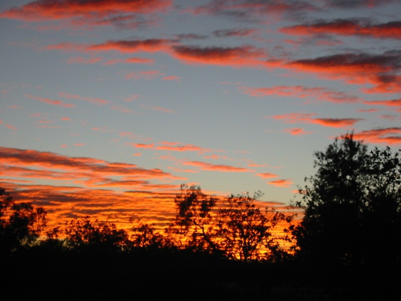 Lot 183 Silky Oak Road COW BAY, Daintree QLD 4873