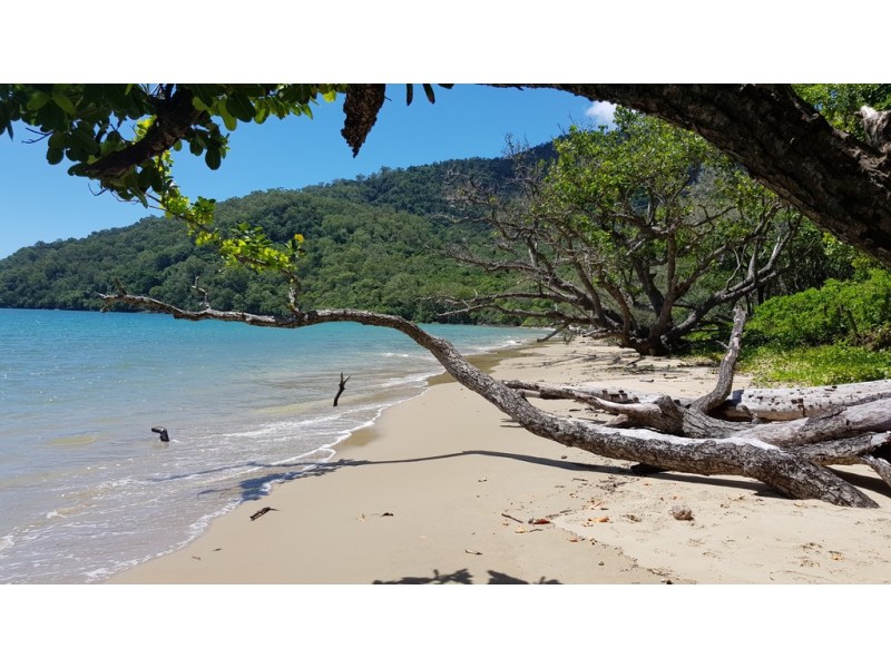 Lot 183 Silky Oak Road COW BAY, Daintree QLD 4873
