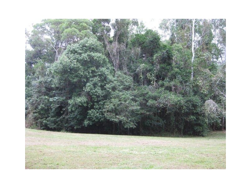 237 McLean Bridge Road, Julatten QLD 4871