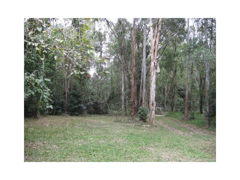 237 McLean Bridge Road, Julatten QLD 4871