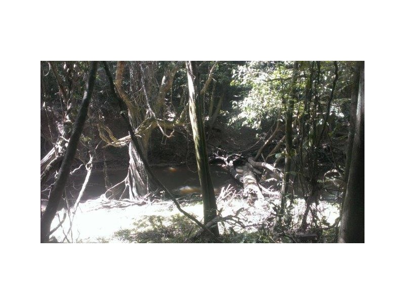 237 McLean Bridge Road, Julatten QLD 4871