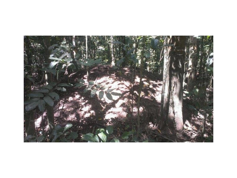 237 McLean Bridge Road, Julatten QLD 4871