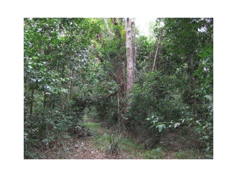 237 McLean Bridge Road, Julatten QLD 4871