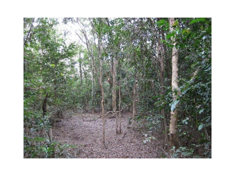 237 McLean Bridge Road, Julatten QLD 4871