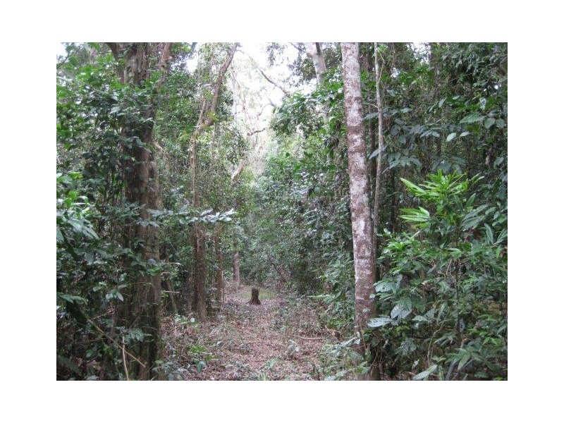 237 McLean Bridge Road, Julatten QLD 4871