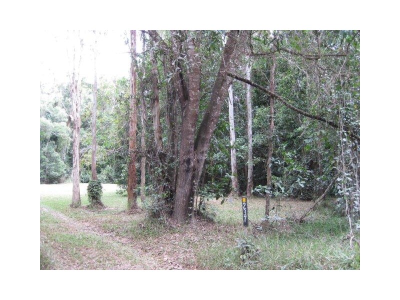 237 McLean Bridge Road, Julatten QLD 4871