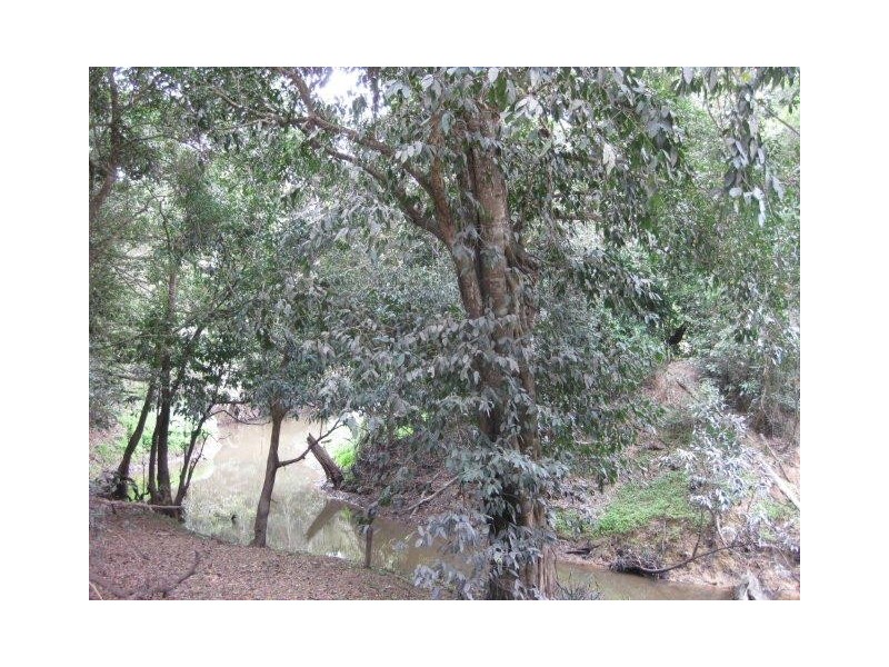 237 McLean Bridge Road, Julatten QLD 4871