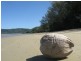 6 Calophyllum Close, Wonga Beach QLD 4873