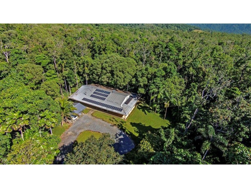 Daintree QLD 4873