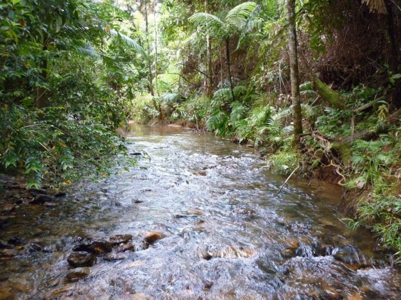 Daintree QLD 4873