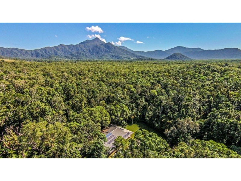 Daintree QLD 4873