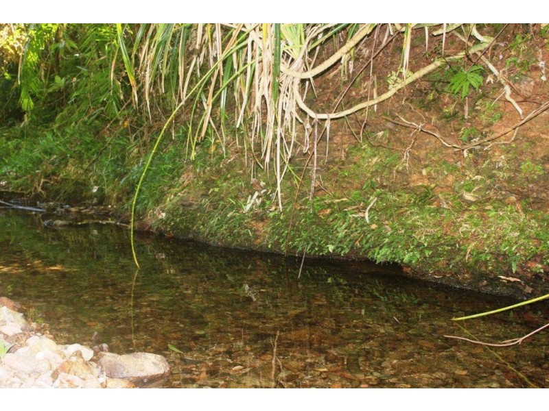 28R Figtree Road, Daintree QLD 4873