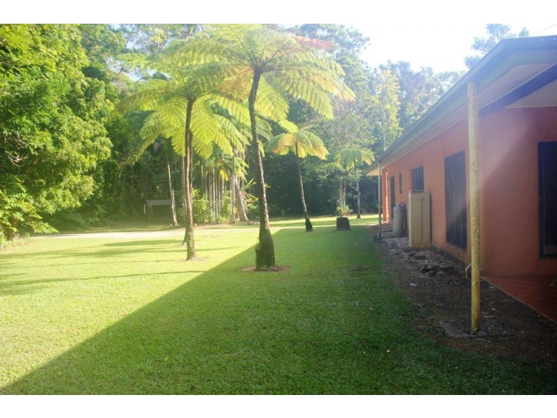 28R Figtree Road, Daintree QLD 4873