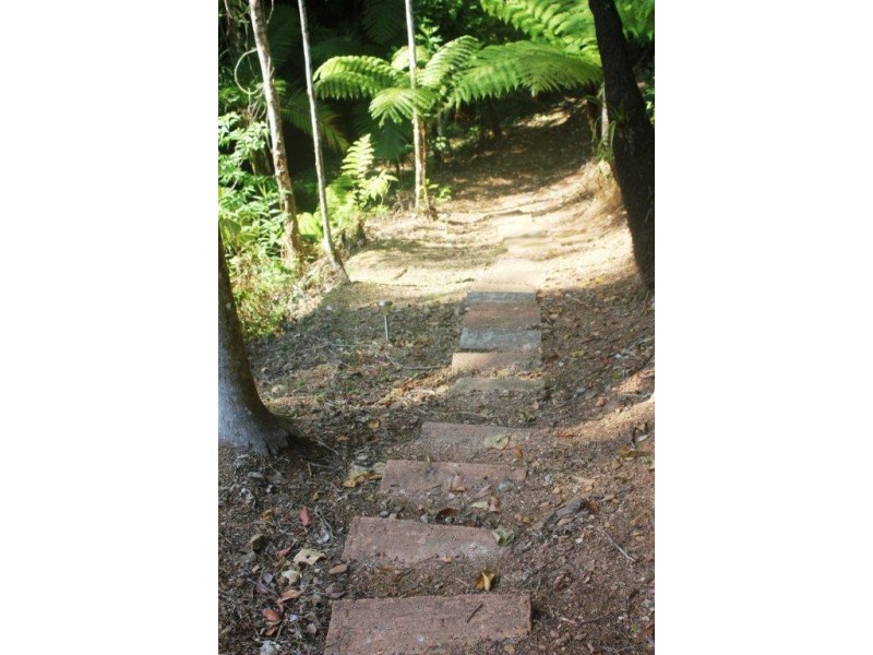 28R Figtree Road, Daintree QLD 4873