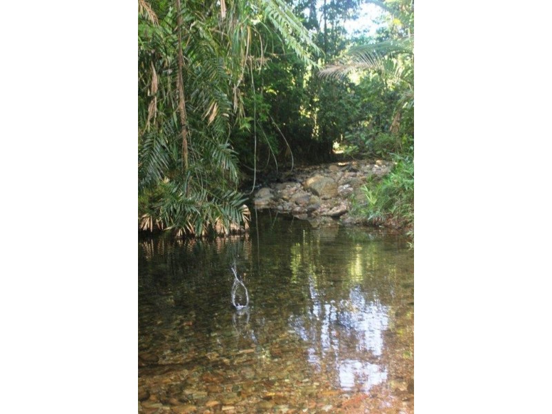 28R Figtree Road, Daintree QLD 4873