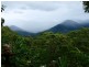903 Euluma Creek Road, Julatten QLD 4871