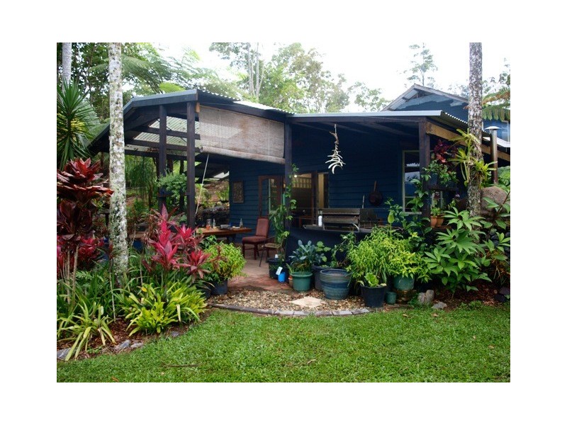 903 Euluma Creek Road, Julatten QLD 4871