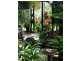 903 Euluma Creek Road, Julatten QLD 4871