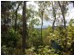903 Euluma Creek Road, Julatten QLD 4871