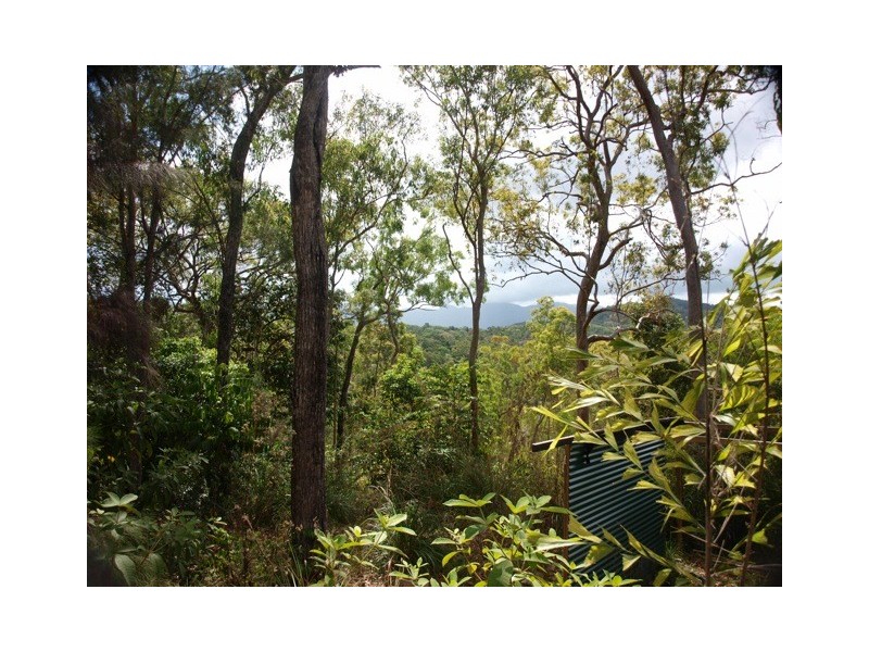 903 Euluma Creek Road, Julatten QLD 4871