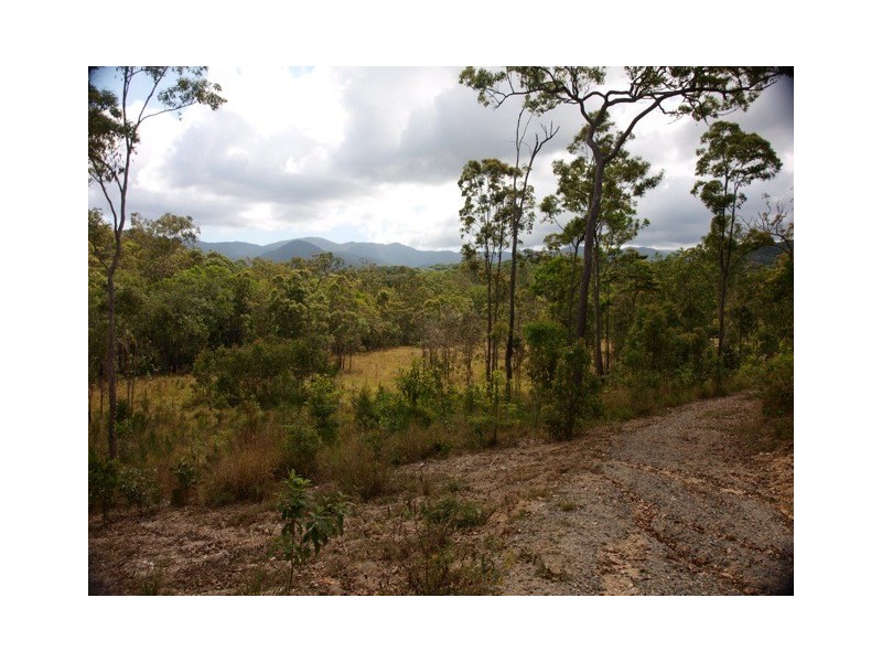 903 Euluma Creek Road, Julatten QLD 4871