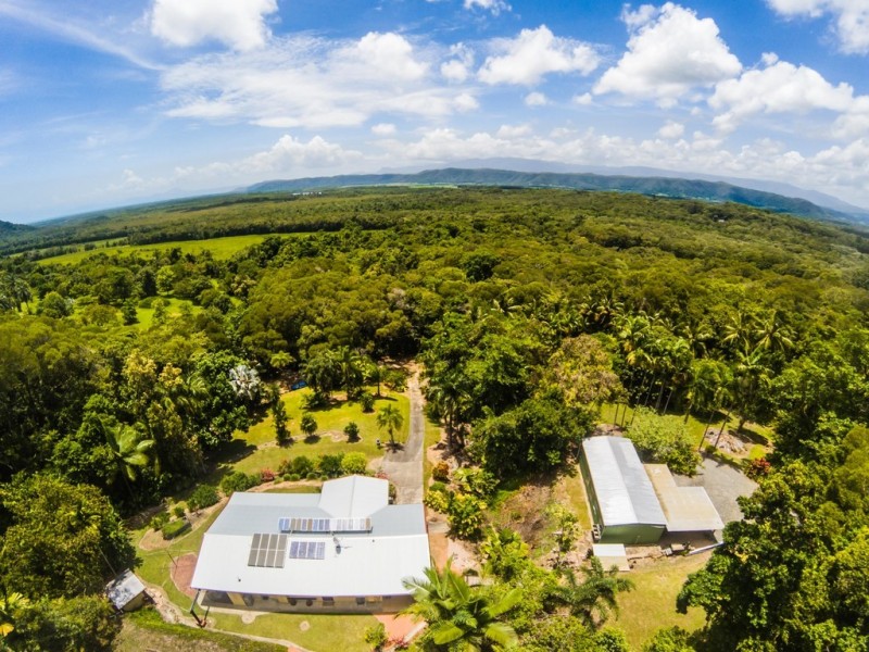 137 George Road, Daintree QLD 4873