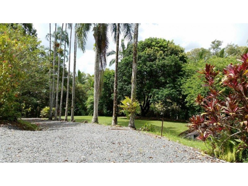 137 George Road, Daintree QLD 4873