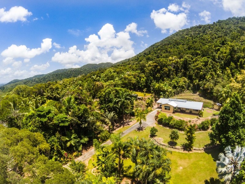 137 George Road, Daintree QLD 4873