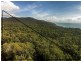 Lot 259 Silver Ash Road (Cow Bay), Daintree QLD 4873