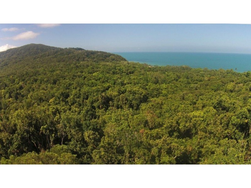 Lot 259 Silver Ash Road (Cow Bay), Daintree QLD 4873