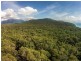 Lot 259 Silver Ash Road (Cow Bay), Daintree QLD 4873
