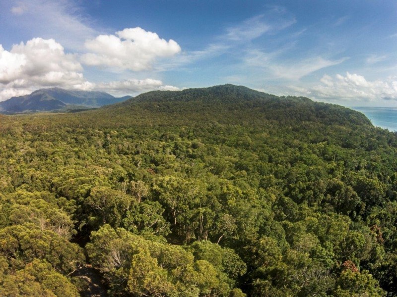 Lot 259 Silver Ash Road (Cow Bay), Daintree QLD 4873