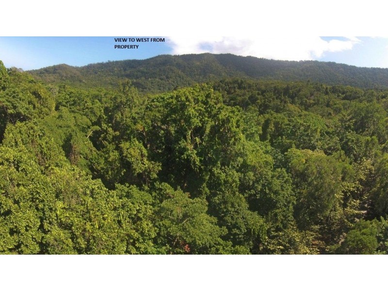 Lot 259 Silver Ash Road (Cow Bay), Daintree QLD 4873