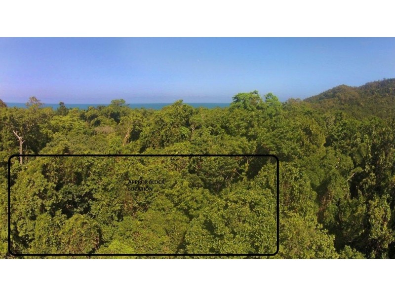 Lot 259 Silver Ash Road (Cow Bay), Daintree QLD 4873