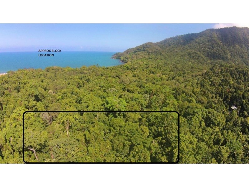 Lot 259 Silver Ash Road (Cow Bay), Daintree QLD 4873