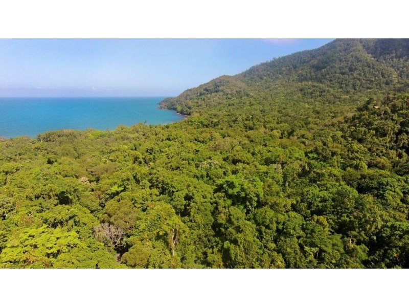Lot 259 Silver Ash Road (Cow Bay), Daintree QLD 4873